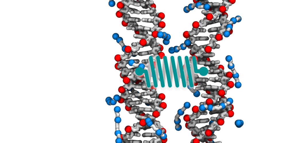 The structure and intermolecular forces of DNA condensates | The  Aksimentiev Group