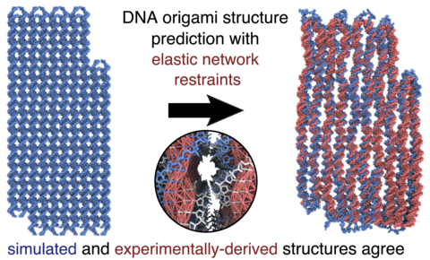dna structure online simulation dna structure online simulation